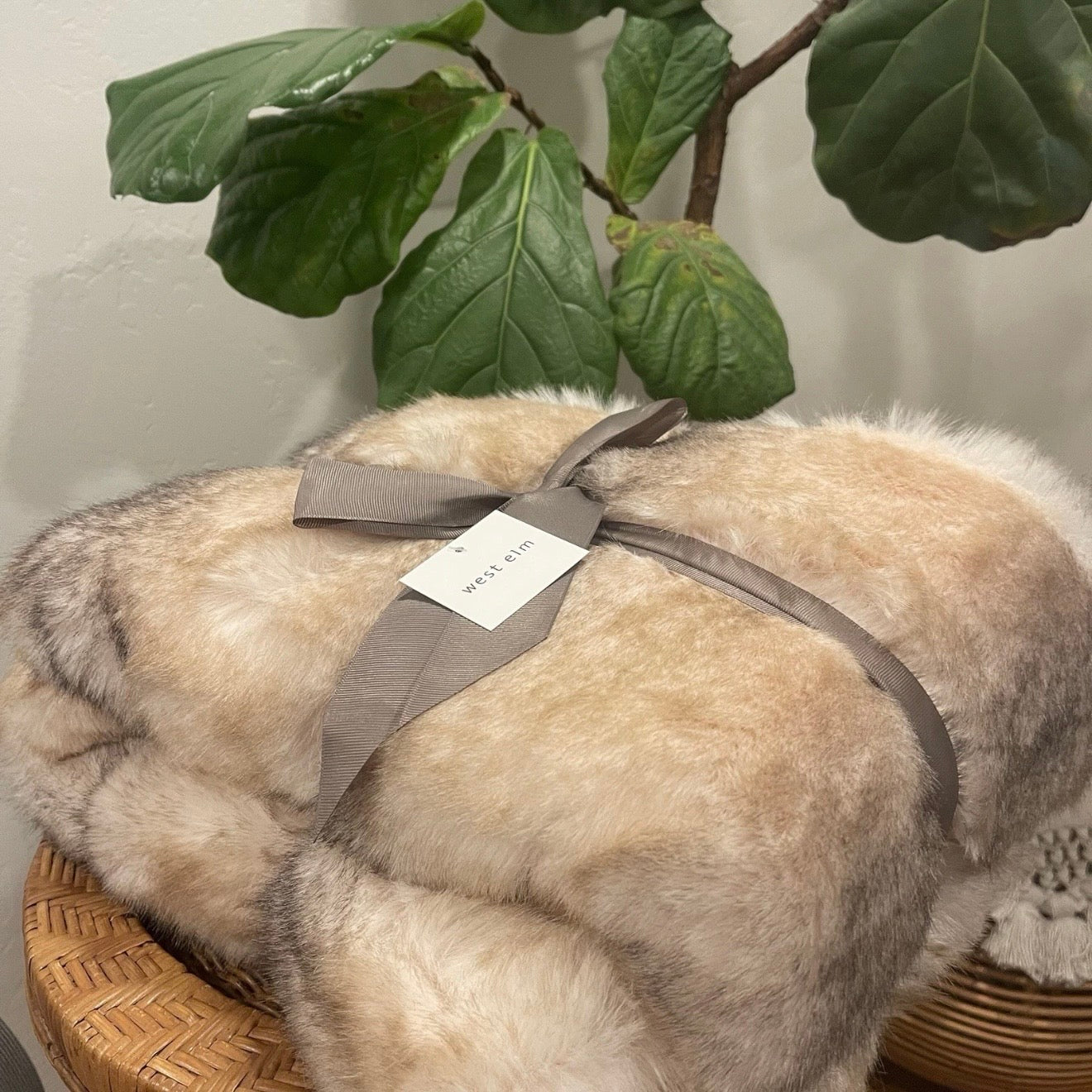 NEW West Elm Boho Brown Faux Fur Thick Mink Throw Blanket Bedding - 60" x 50"