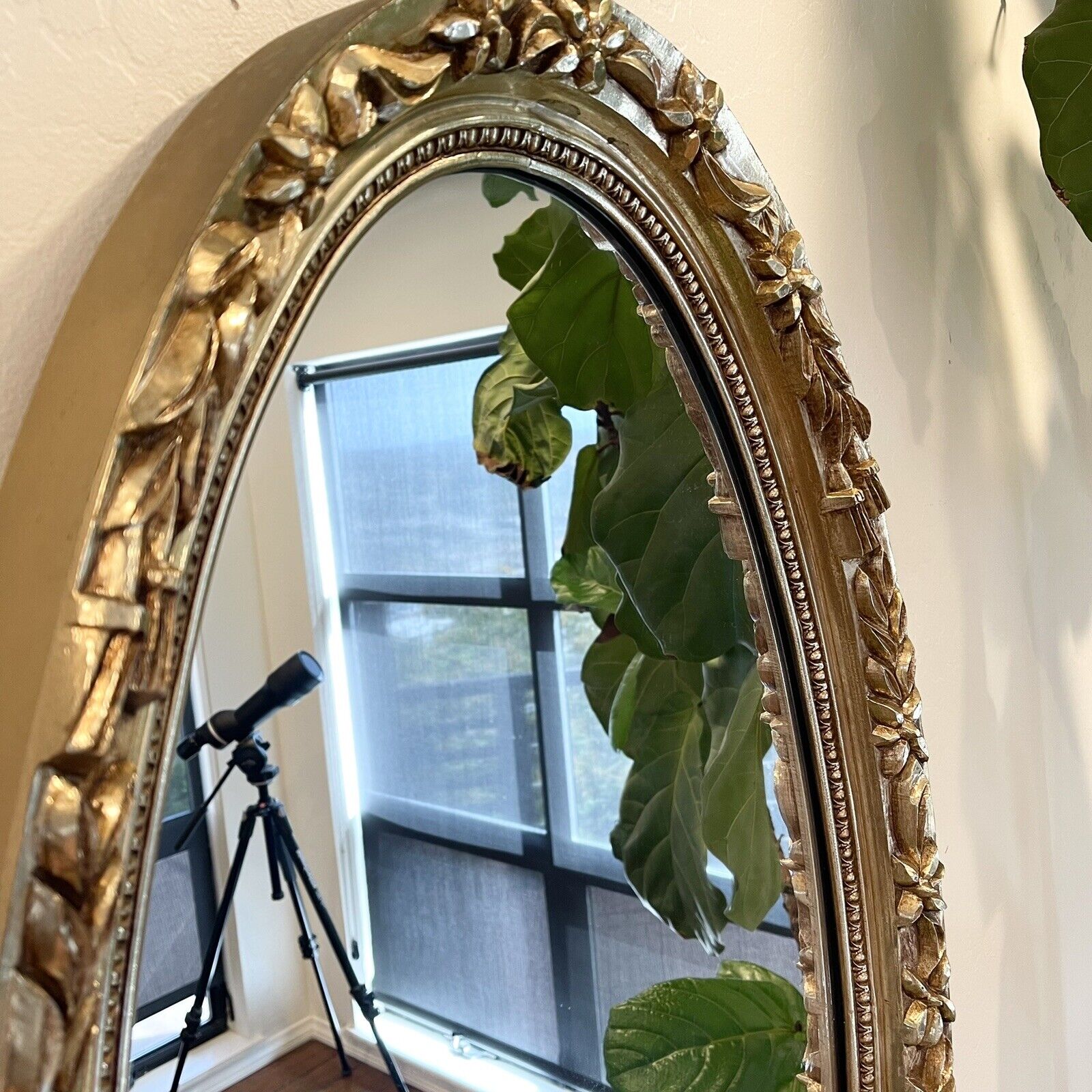 Vintage Bombay Company Gold Oval Wall Hanging Antique Ornate Framed Wall Mirror