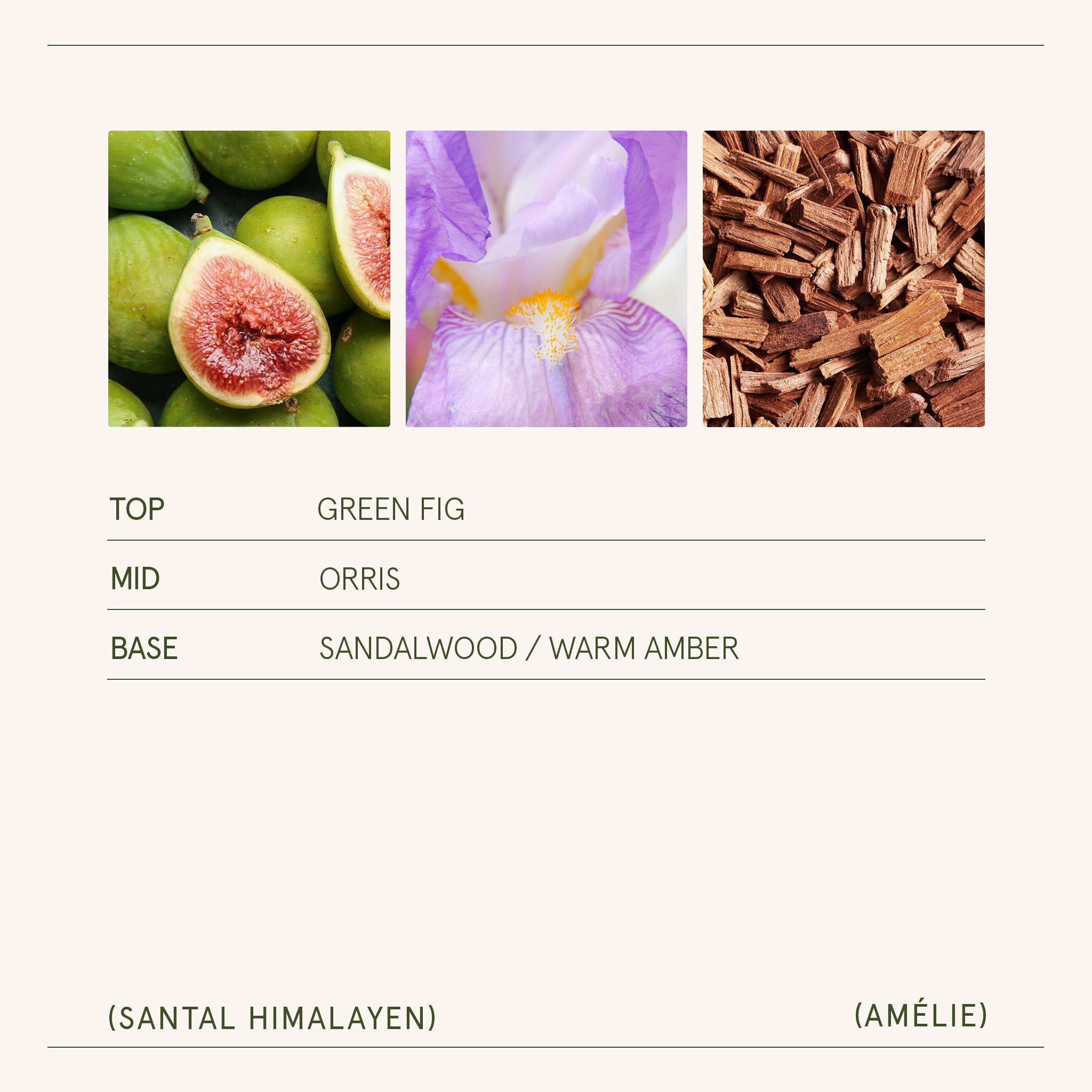 Amélie – Santal Himalayen Candle