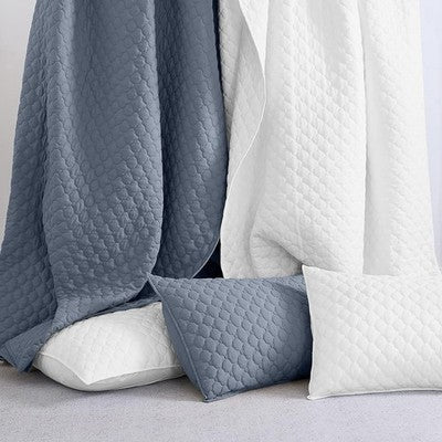 NEW West Elm Dusty Blue Ultra Soft Quilted Queen / King Bedding Quilt & Sham Set