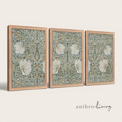 NEW Anthro Set of 3 Framed Vintage Floral Print Canvas Boho Wall Art 12" x 16"