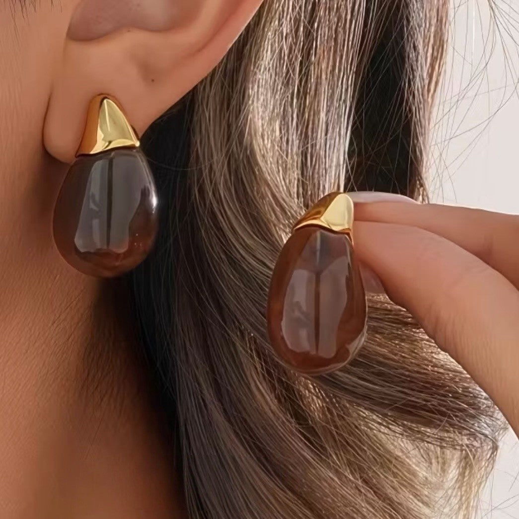 NEW Anthropologie Brown Resin & Gold Plated Chunky Hoop Dangle Earrings Jewelry