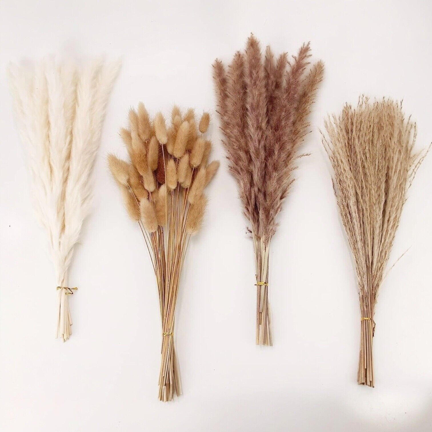 NEW Anthropologie 100 Piece Dried Neutral Pampas Grass Boho Decor Flowers Reeds