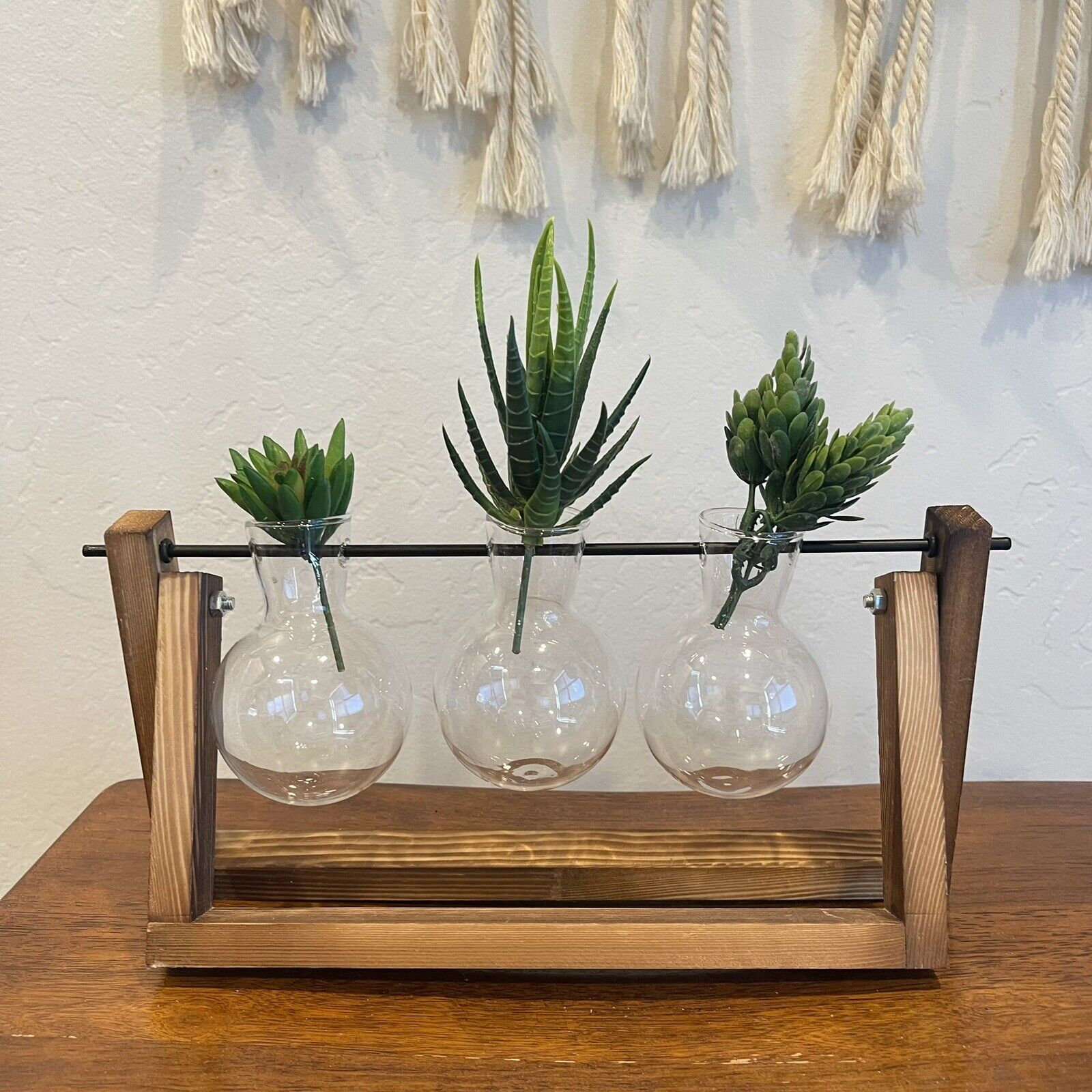 New West Elm Glass Three Bud Vases & Wooden Holder Boho Succulents Planter Set