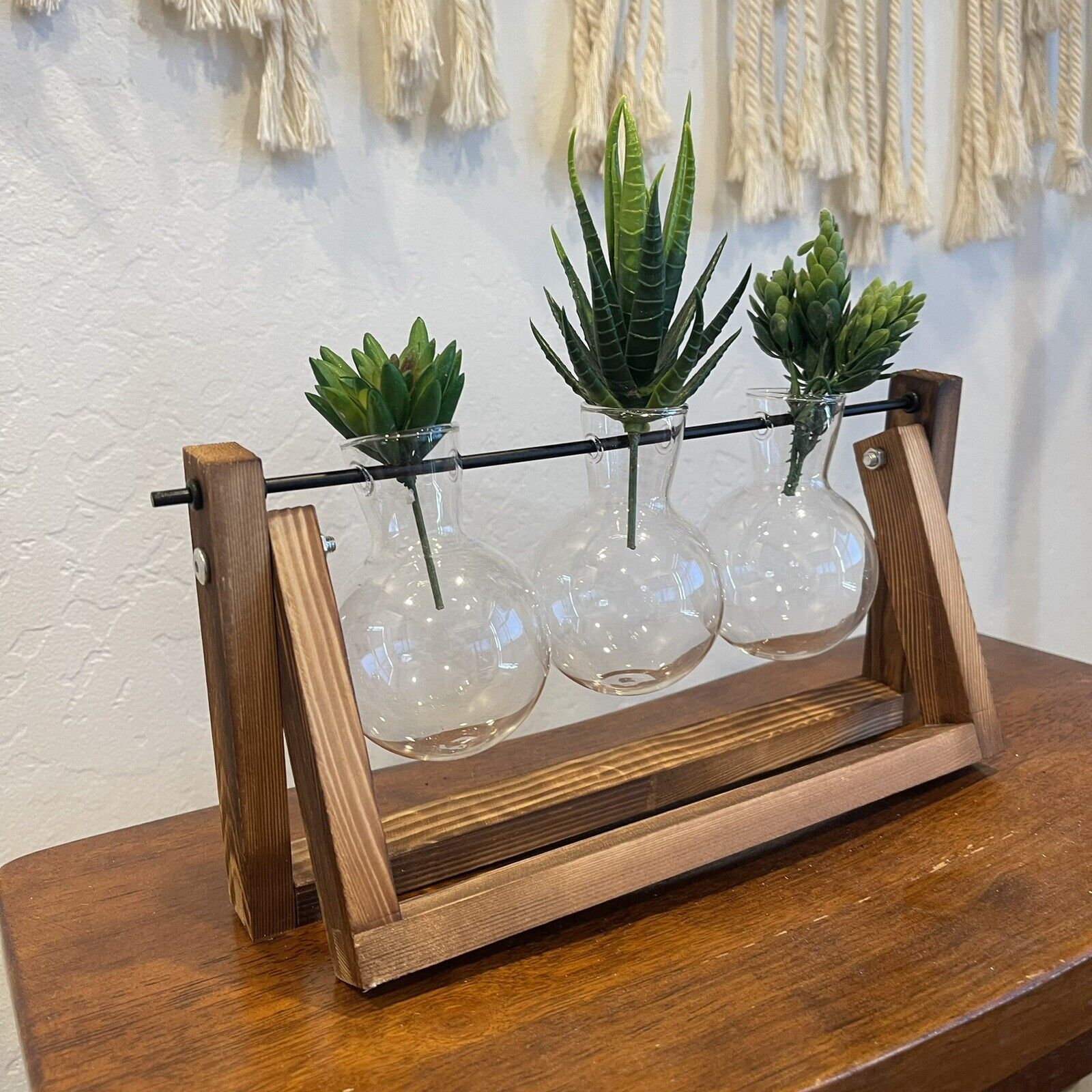 New West Elm Glass Three Bud Vases & Wooden Holder Boho Succulents Planter Set