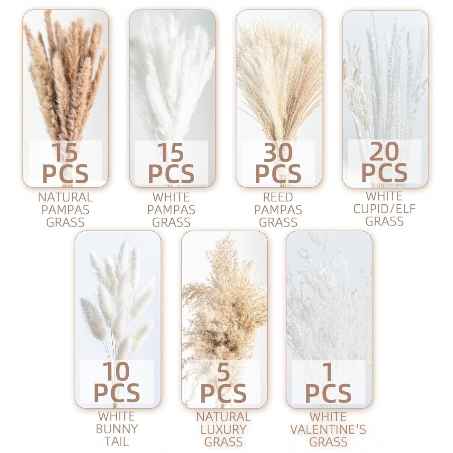 NEW Anthropologie 96 Piece Dried Nuetral Pampas Grass Boho Decor Flowers Reeds