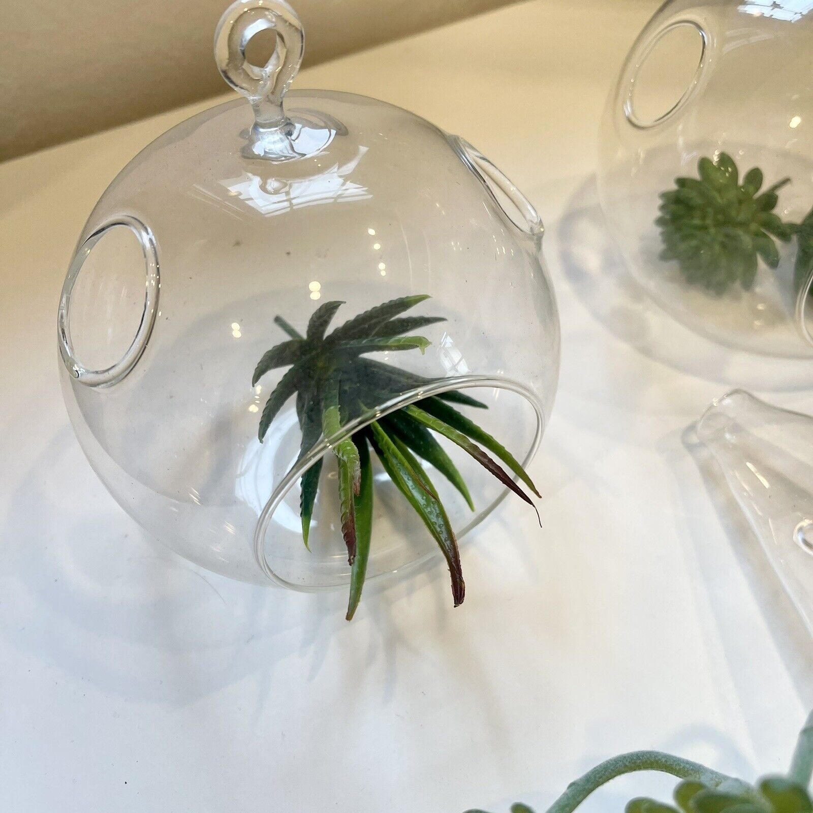 New West Elm Set of 3 Glass Terranium Air Plant Hanging Vases | Home Wall Decor