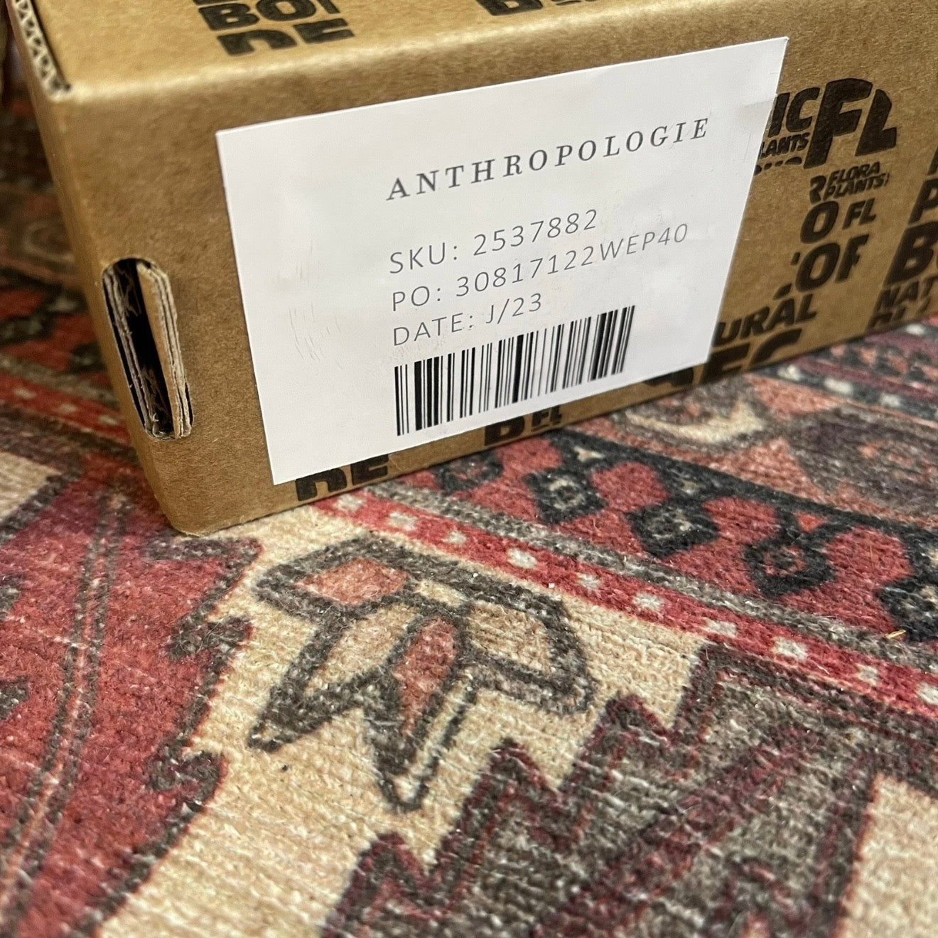 NEW Anthropologie 96 Piece Dried Neutral Pampas Grass Boho Decor Flowers Reeds